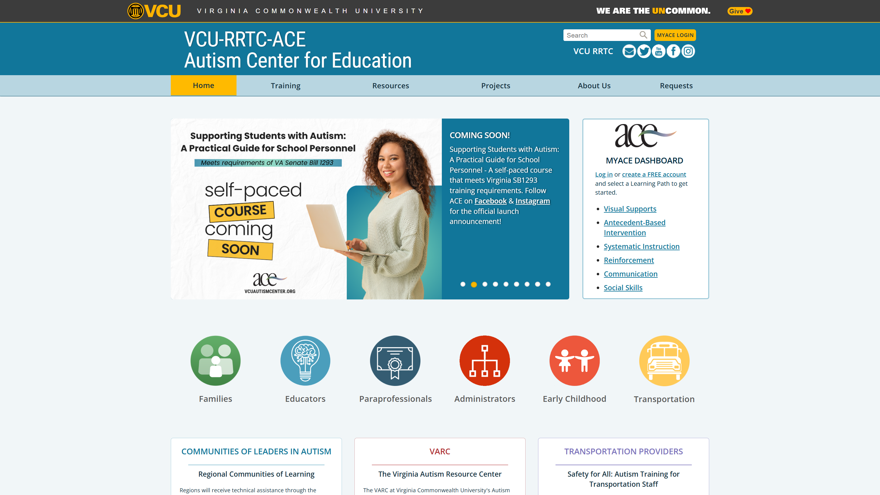 ACE website screenshot